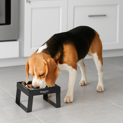 Waggier™ Elevated Dog Bowl