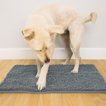 Waggier™ Foot Mat
