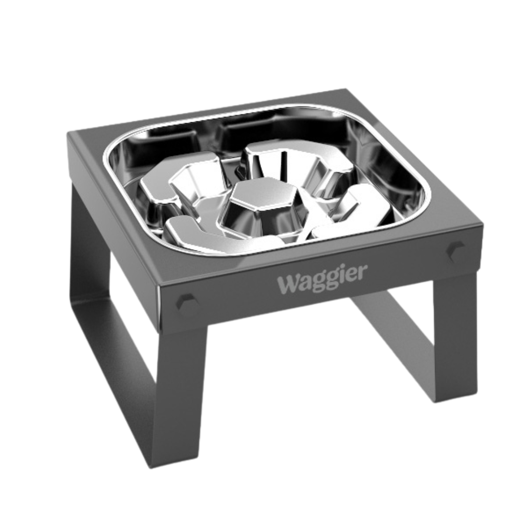 Waggier™ Elevated Dog Bowl