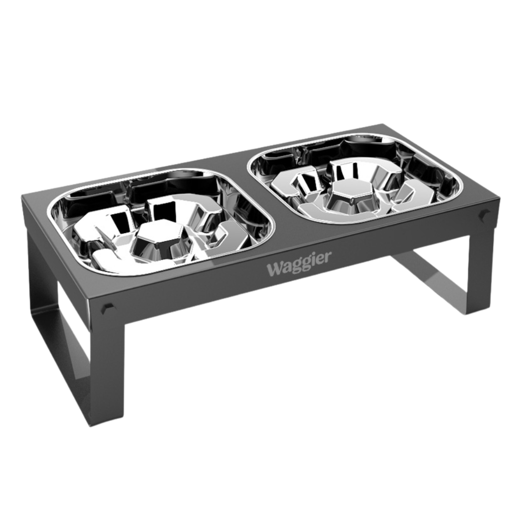 Waggier™ Elevated Dog Bowl