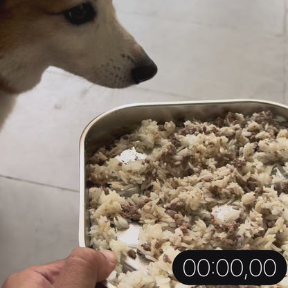 Waggier™ PaceBowl