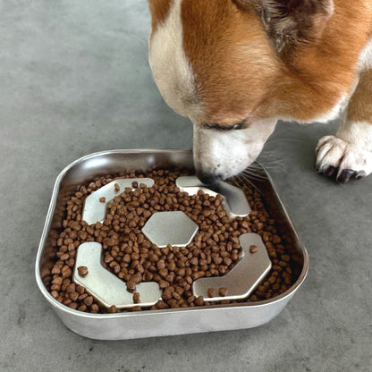 Waggier™ PaceBowl