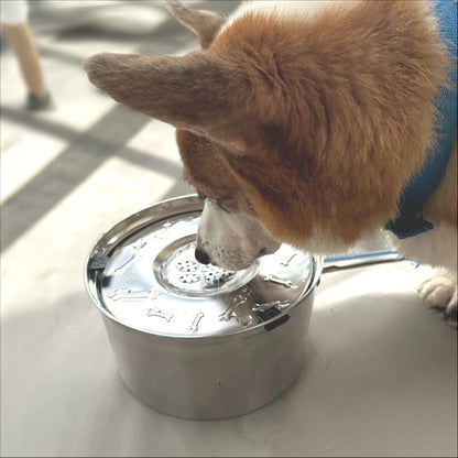 Waggier™ HydroCalm